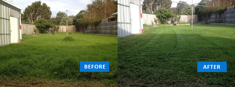 Lawn Mowing