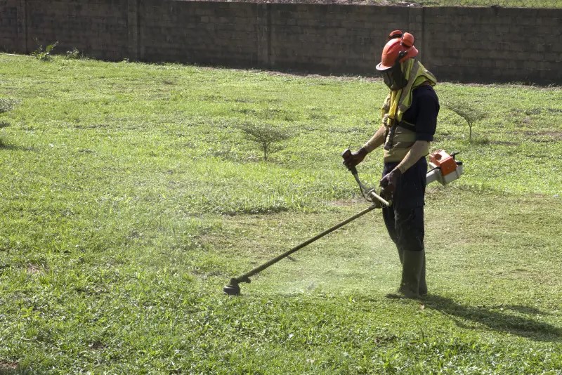 Lawn Mowing